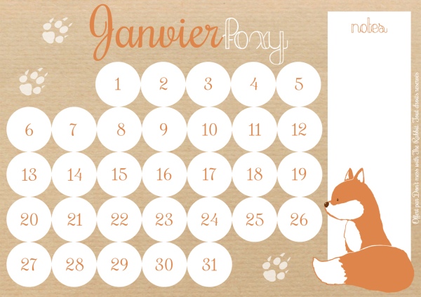 Don't mess with The Rabbit - Calendrier Janvier Foxy